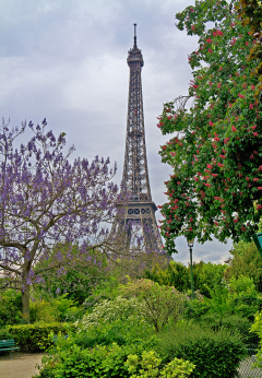 Eifel Tower2