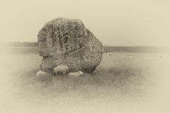 Avebury Stone and Sheep Antique