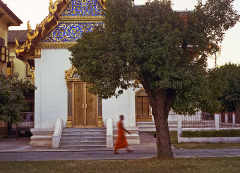 Monk Walking