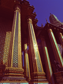 Gold Columes