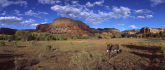 Ghost Ranch Mule Pano