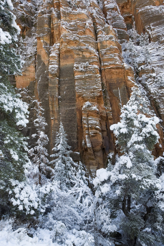 Canyon Wall Snow2
