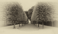 Cotswolds Hidecote Manor Trees Antique