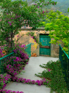 Riomaggiore Garden Door