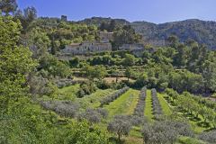 Provence Chateau