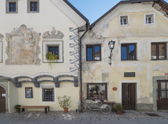 Slovinia Bee Town