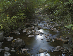 Lithia Creek