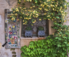 Vaison la Romaine Roses and Window